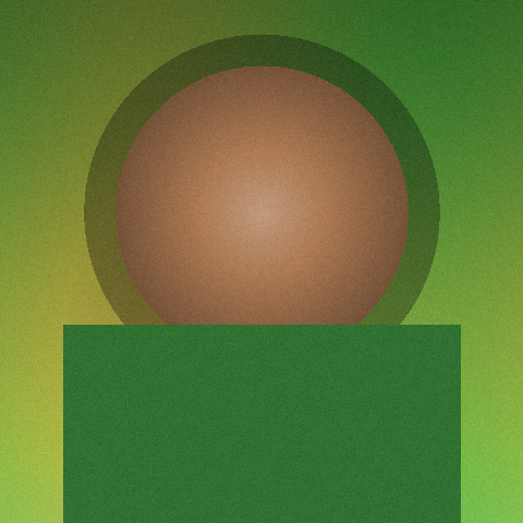 孙佳